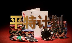 程集团副总裁秦静认为