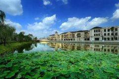 国际港务区凭仗着”一带一“新契机